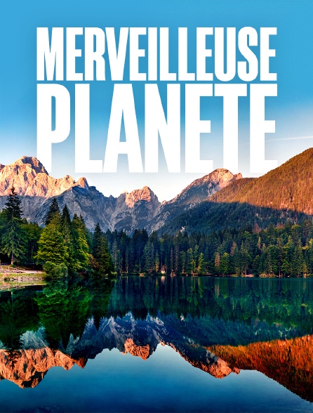 Merveilleuse planète