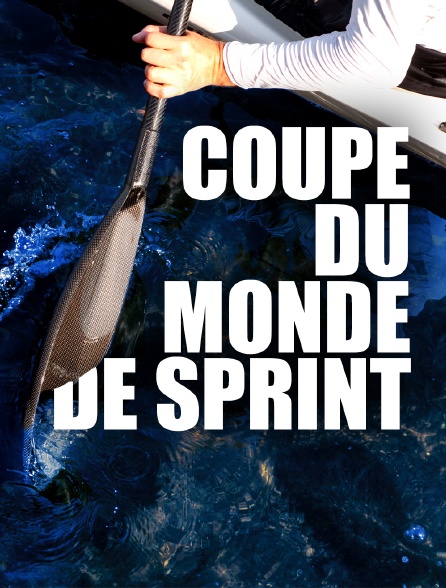 Coupe du monde de sprint
