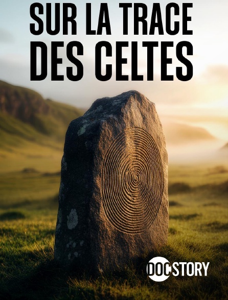 Docstory - Sur la trace des Celtes