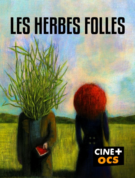 CINÉ Cinéma - Les herbes folles