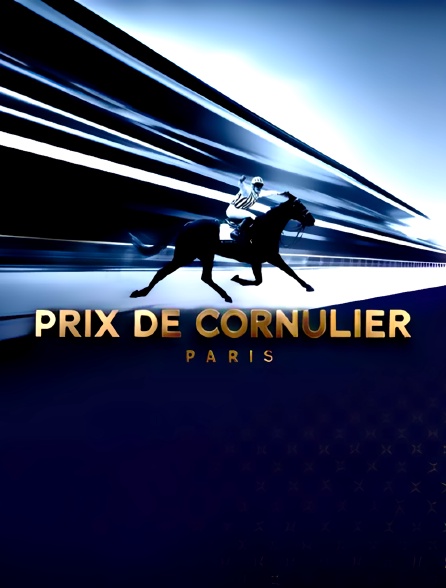 Hippisme - Prix de Cornulier