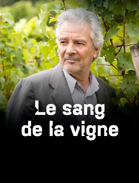 Le sang de la vigne