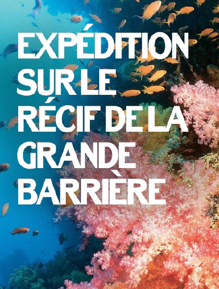 Expédition sur le récif de la Grande Barrière