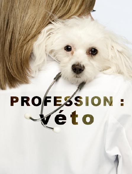 Profession véto