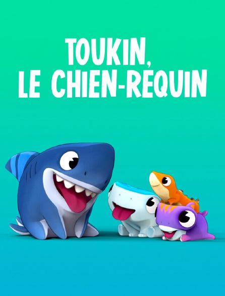 Toukin, le chien-requin