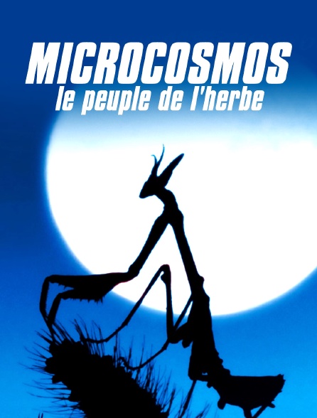 Microcosmos, le peuple de l'herbe
