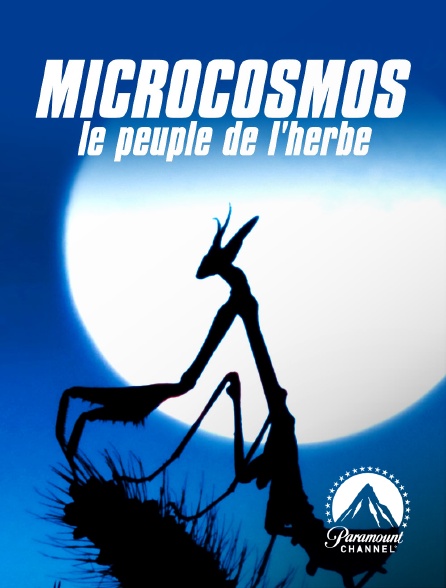Paramount Channel - Microcosmos, le peuple de l'herbe