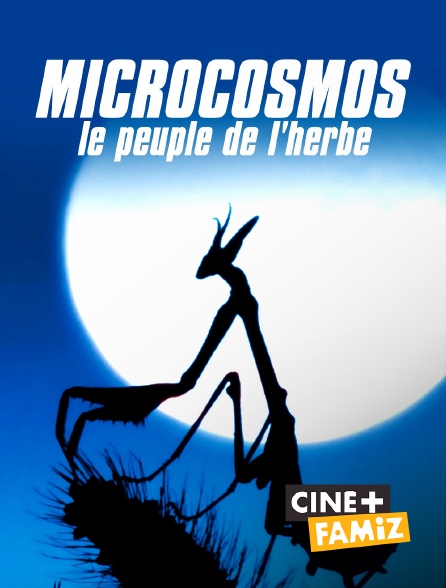 Ciné+ Famiz - Microcosmos, le peuple de l'herbe