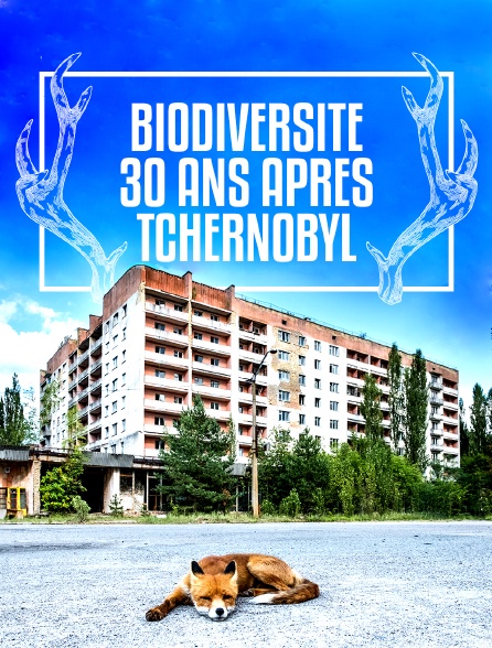 Biodiversité 30 ans après Tchernobyl