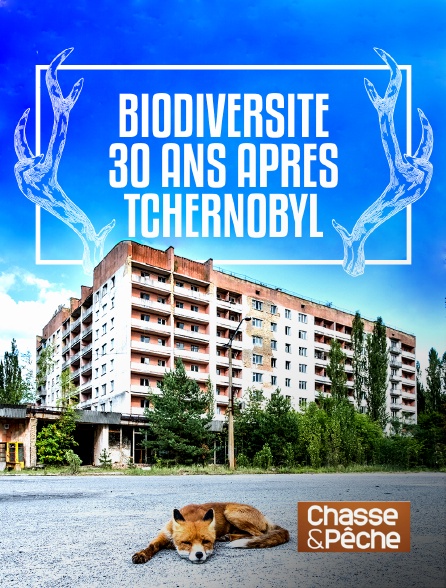 Chasse et pêche - Biodiversité 30 ans après Tchernobyl