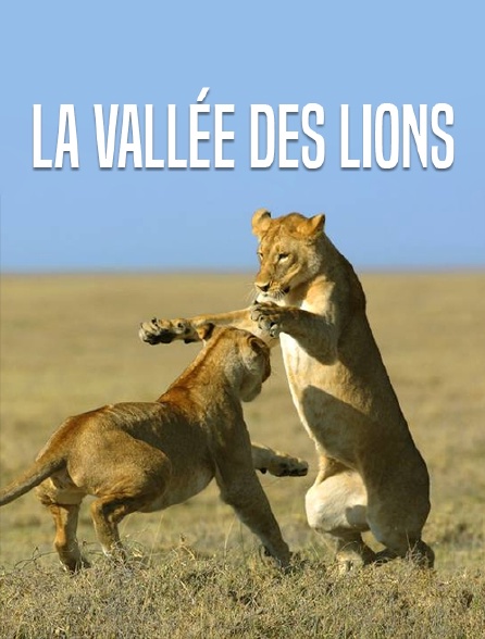 La vallée des lions