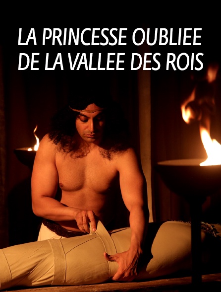 La princesse oubliée de la vallée des rois