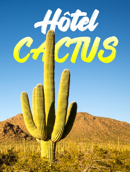 Hôtel Cactus