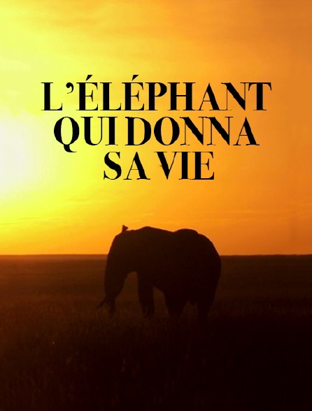 L'éléphant qui donna sa vie