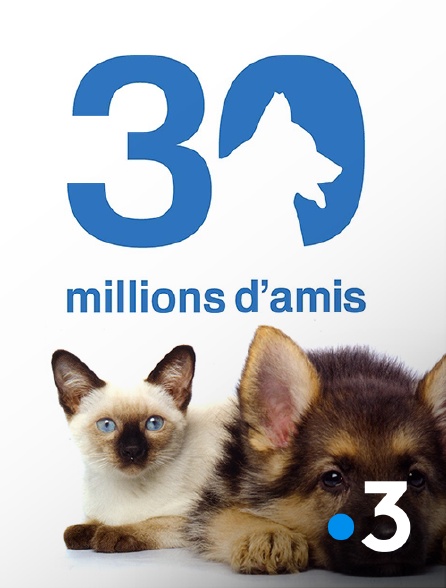 France 3 - 30 millions d'amis