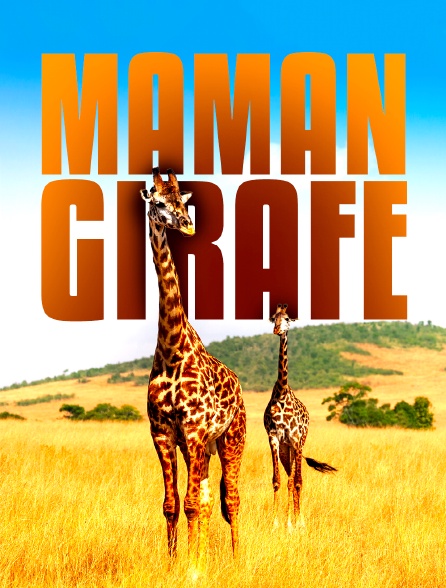 Maman Girafe