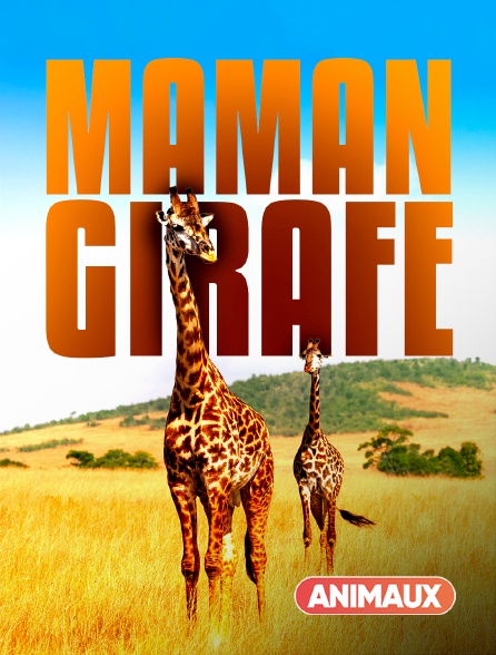 Animaux - Maman Girafe