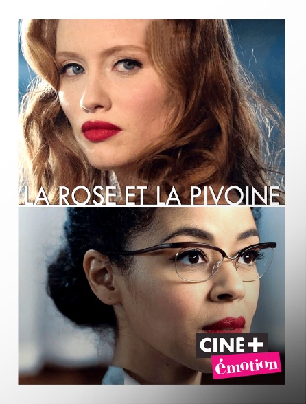 Ciné+ Emotion - La rose et la pivoine