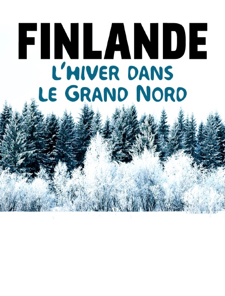 Finlande : l'hiver dans le Grand Nord