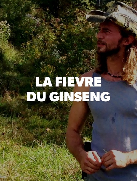 Appalaches rebelles : la fièvre du ginseng