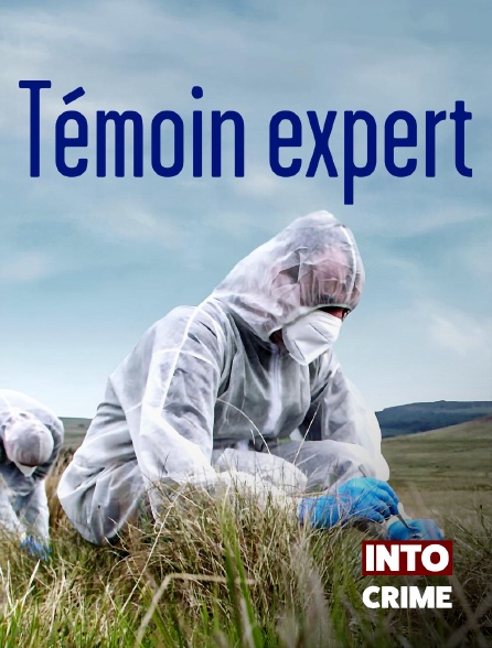 Into Crime - Témoin expert