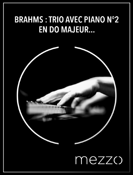 Mezzo - Brahms : Trio avec piano n°2 en do majeur - Boris Pergamenschikow, Elena Bashkirova, Maxim Vengerov