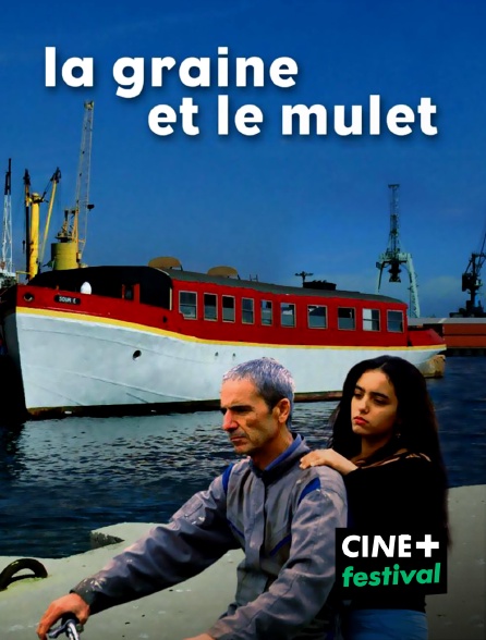 CINE+ Festival - La graine et le mulet