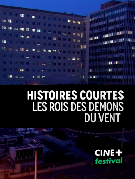 CINE+ Festival - Le roi des démons du vent