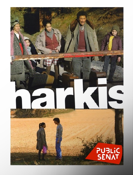 Public Sénat - Harkis