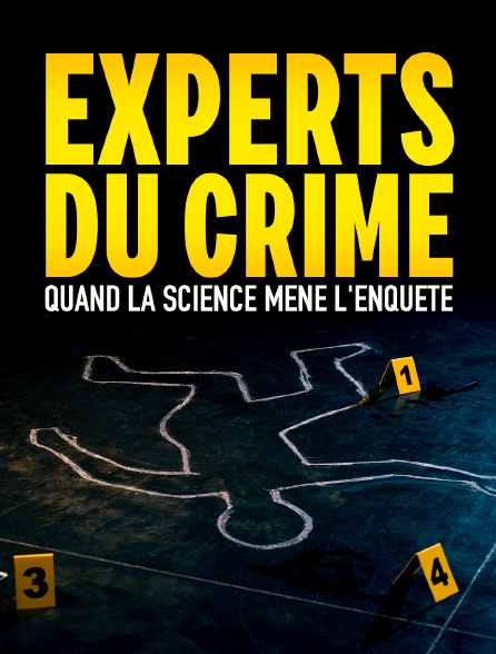 Experts du crime : quand la science mène l'enquête