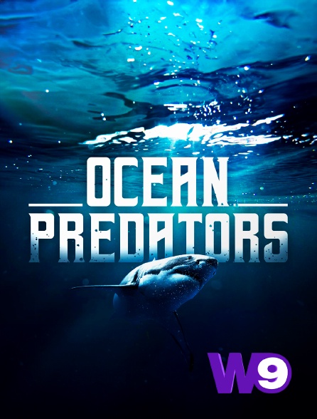 W9 - Ocean predators
