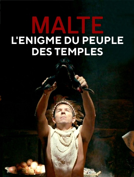 Malte, l'énigme du peuple des temples