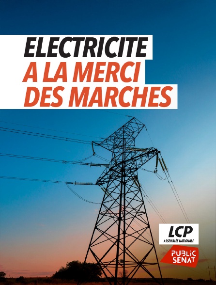 LCP Public Sénat - Electricité, à la merci des marchés