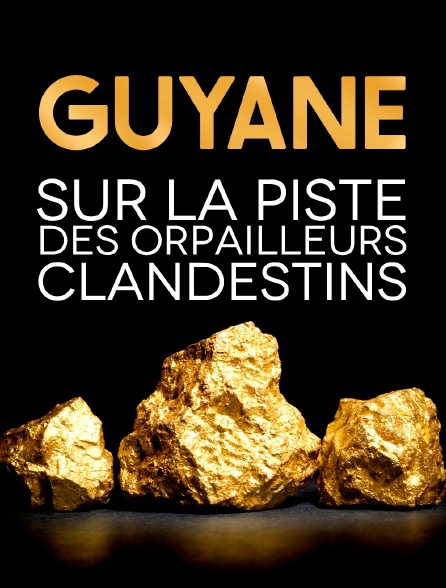 Guyane, sur la piste des orpailleurs clandestins