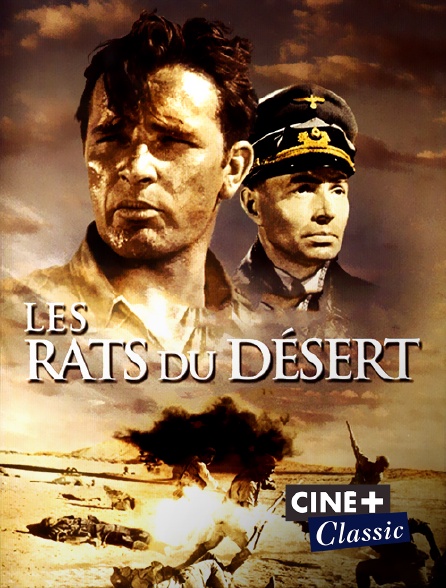 Ciné+ Classic - Les rats du désert