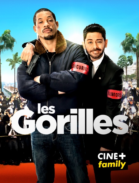 CINE+ Family - Les gorilles