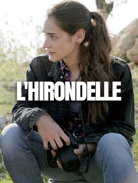 L'hirondelle