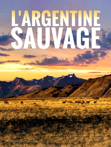L'Argentine sauvage