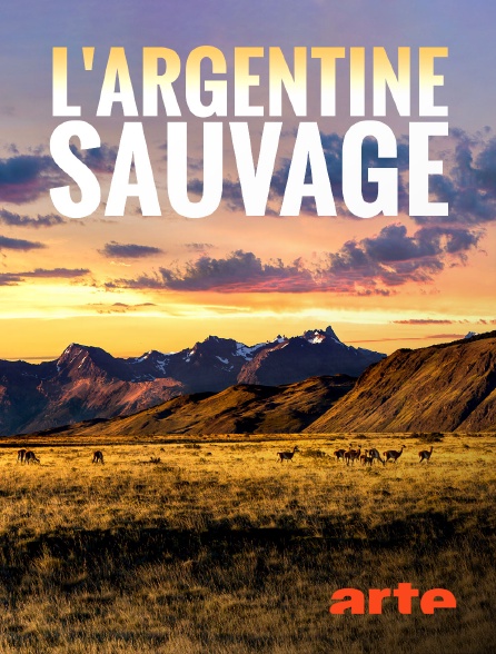 Arte - L'Argentine sauvage
