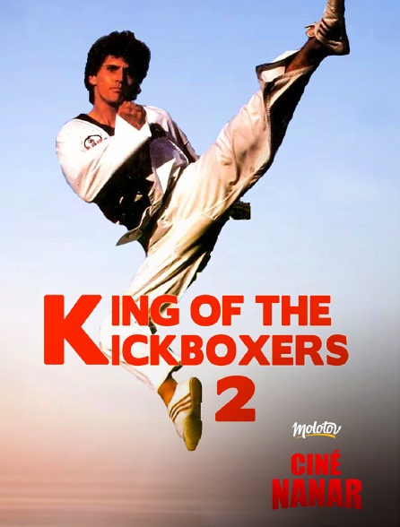 Ciné Nanar - King Of The Kickboxer 2