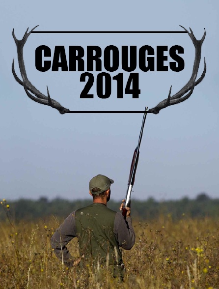 Carrouges 2014