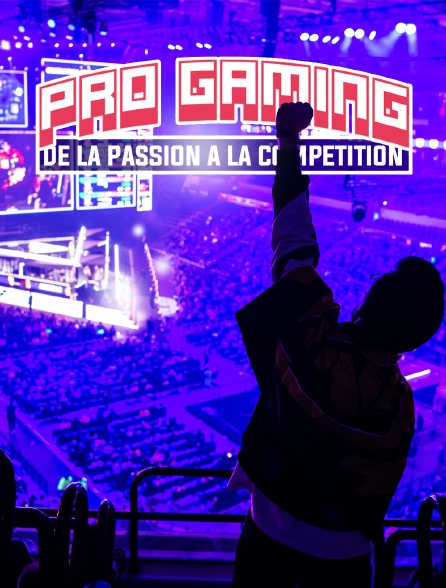 Pro Gaming : de la passion à la compétition