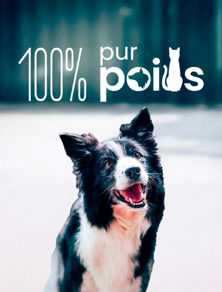 100% Pur poils