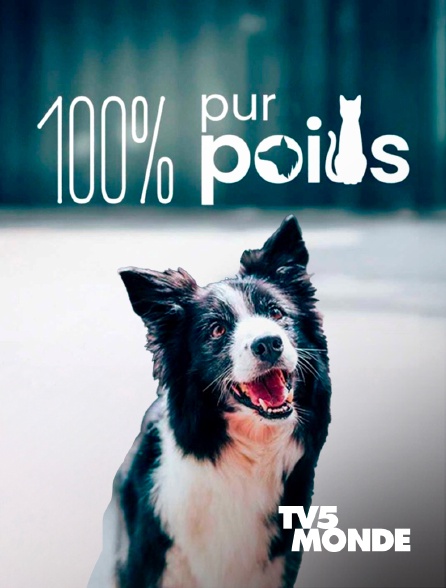 TV5MONDE - 100% Pur poils