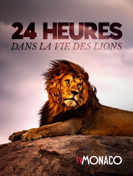 TV Monaco - 24 heures dans la vie des lions