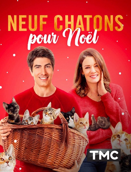 TMC - Neuf chatons pour Noël