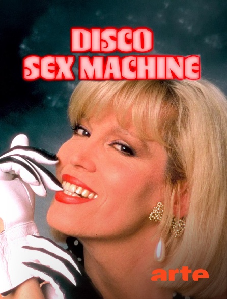 Arte - Disco Sex Machine : La naissance du porn chic