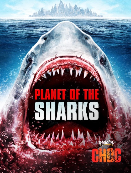 Molotov Channels CHOC - Planet of the sharks
