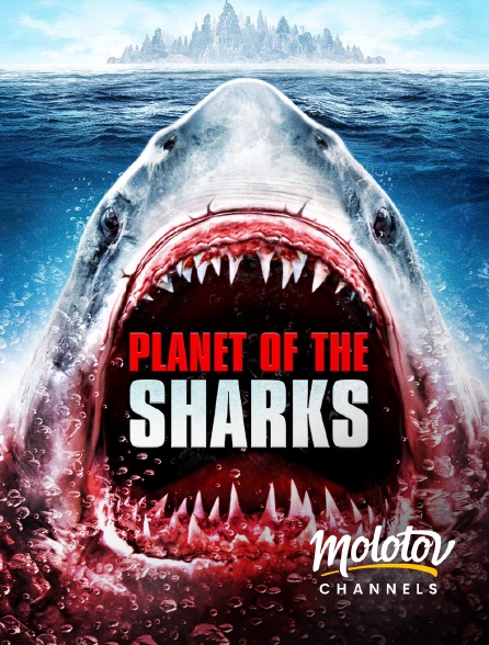 Molotov channels - Planet of the sharks