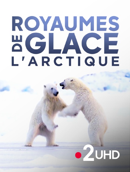 France 2 UHD - Royaumes de glace